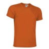 T-shirt sport 1er prix