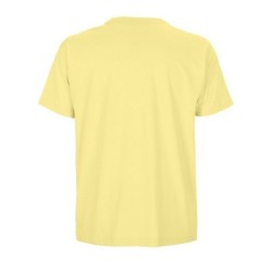 Tee-shirt homme 100% coton bio boxy