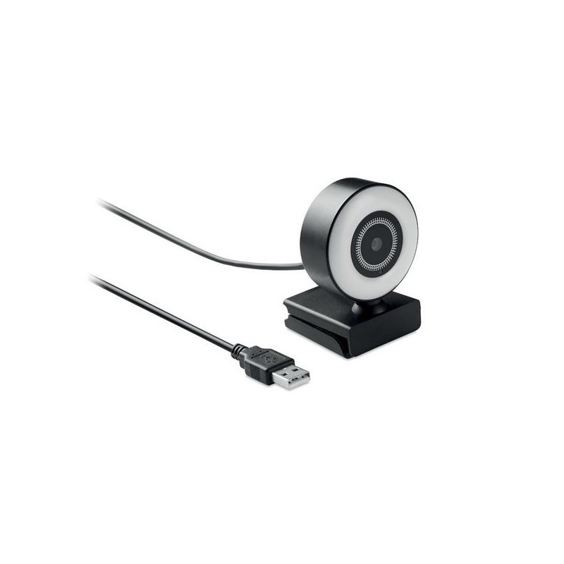  Webcam HD 1080P et lumière