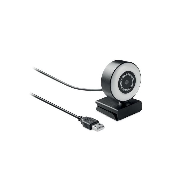  Webcam HD 1080P et lumière