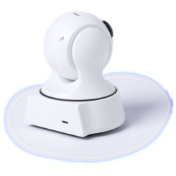 Caméra de vidéosurveillance