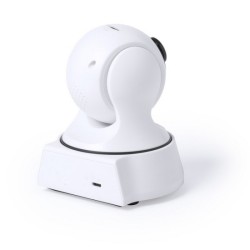 Caméra de vidéosurveillance