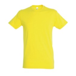 T-shirt couleur 150g regent