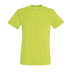 T-shirt couleur 150g regent
