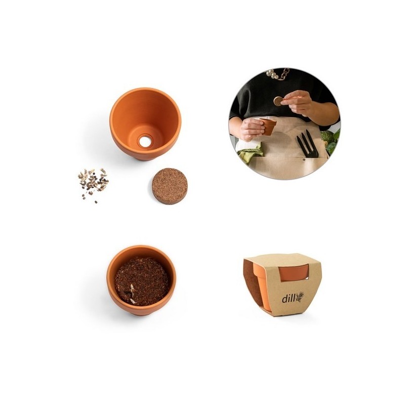 Pot en terre cuite avec graines d'aneth