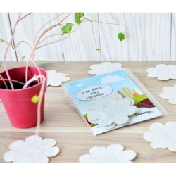 Confettis biodégradables