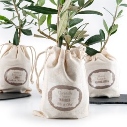 Plant d'Olivier en pochon coton