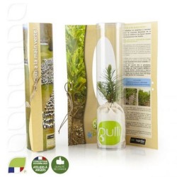 Petit plant de pin personnalisé