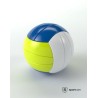 Ballon de volley ball