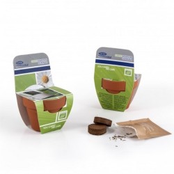 Pot en terre cuite 70 mm avec graines à faire pousser modèle avec fronton