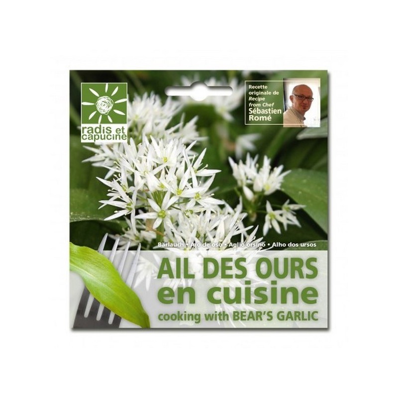 Je fais pousser de l'ail des ours comestible en sachet