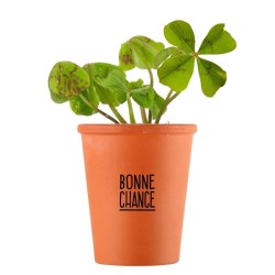 Kit message "Bonne chance" - trèfle à 4 feuilles