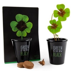 Kit de plantation black - Trèfle 4 feuilles