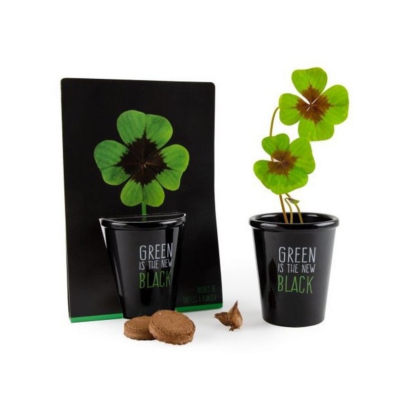 Kit de plantation black - Trèfle 4 feuilles