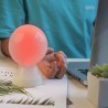 Mr Bio Lamp, la lampe de bureau qui lie l'utile à l'agréable