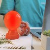 Mr Bio Lamp, la lampe de bureau qui lie l'utile à l'agréable