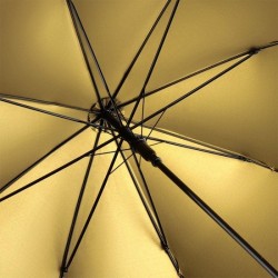 Parapluie standard - FARE