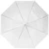 Parapluie 23" transparent à ouverture automatique
