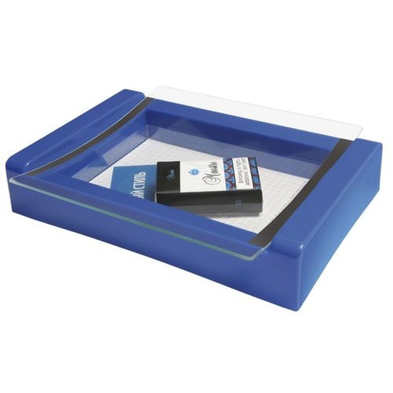 Ramasse monnaies Laguna 1 expo