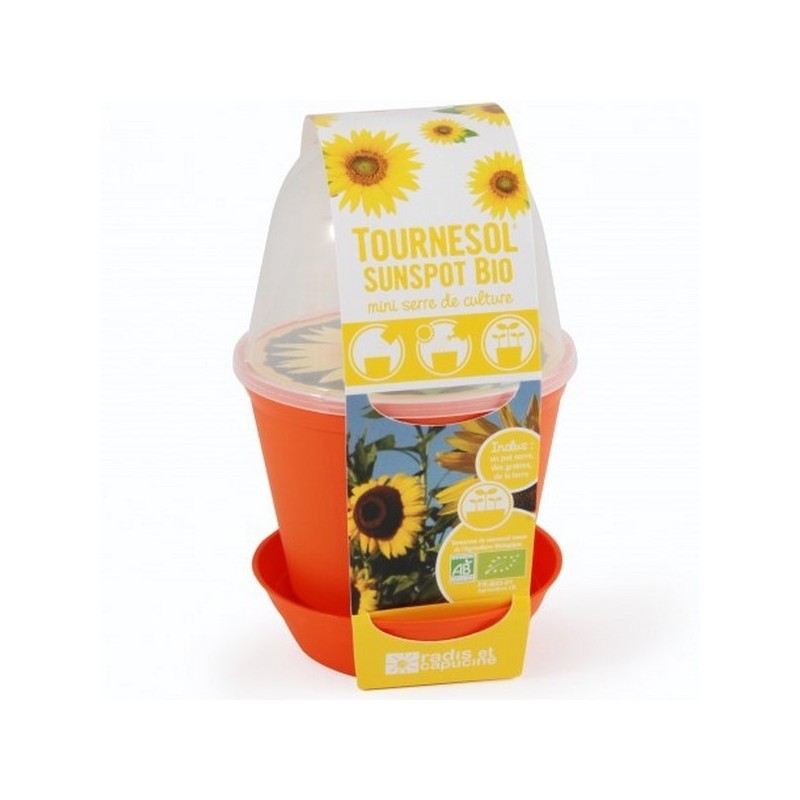 Pot Cloche Tournesol