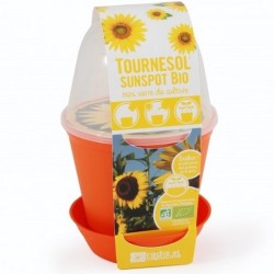 Pot Cloche Tournesol