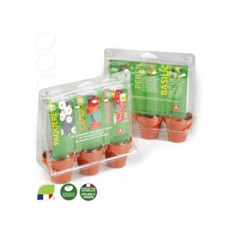 Mini serre pour cultiver 3 pots de graines