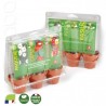Mini serre pour cultiver 3 pots de graines