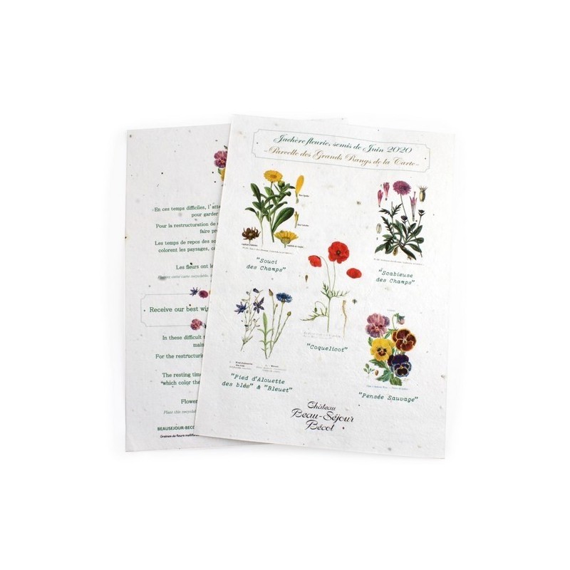 Tapis de semis A4 - 120g RECTO-VERSO