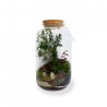 Terrarium tropical luxe