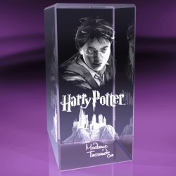 Trophée rectangulaire 14x30cm