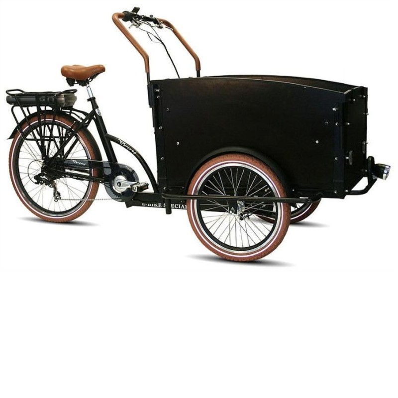 Triporteur Électrique troy 26