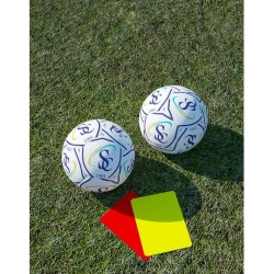 Mini ballon de football 12 panneaux