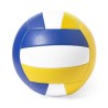 Ballon de volley ball
