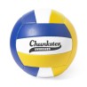 Ballon de volley ball
