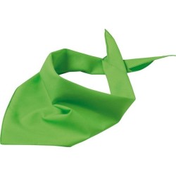 Bandana triangle - Myrtle Beach