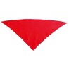 Bandana xl triangle 1er prix