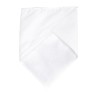 Bandana classique