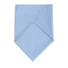 Bandana classique