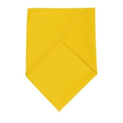 Bandana classique