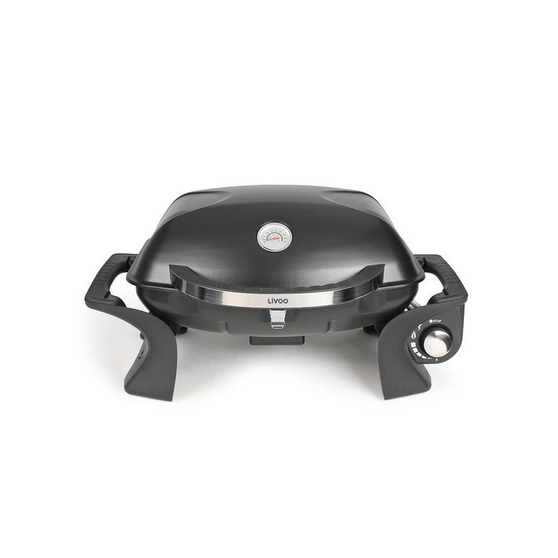 Barbecue à gaz portable