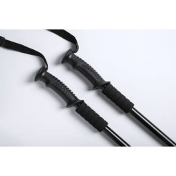 Paire de bâtons alu