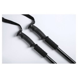 Paire de bâtons alu