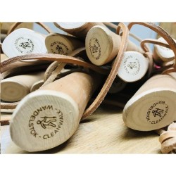 CleanWalk Walkingstick bâton de marche