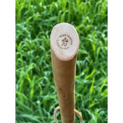 CleanWalk Walkingstick bâton de marche
