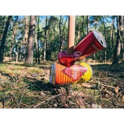 CleanWalk Walkingstick bâton de marche