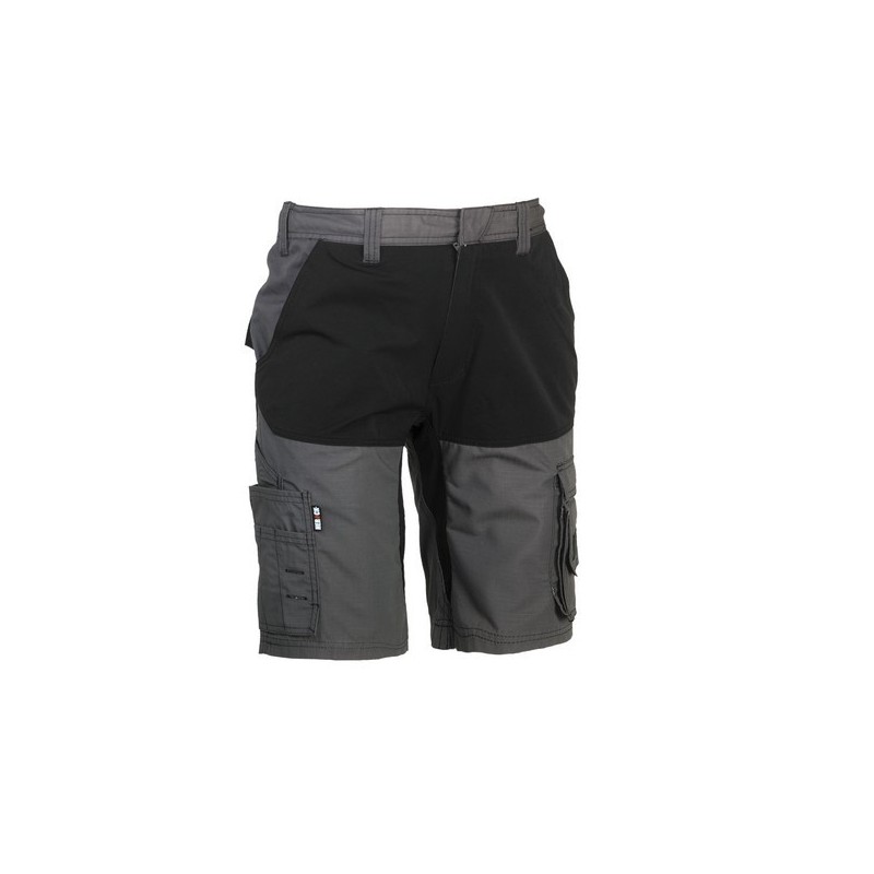 Hespar - BERMUDA HESPAR