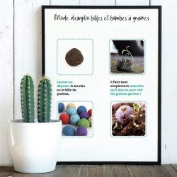 Bombe à graines en boîte