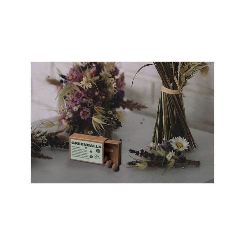 Green Balls mini-écosystème