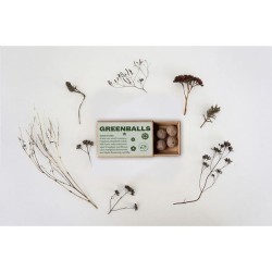 Green Balls mini-écosystème