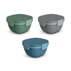 Boite a repas (lunch box salade)